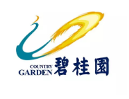 枞阳碧桂园地产